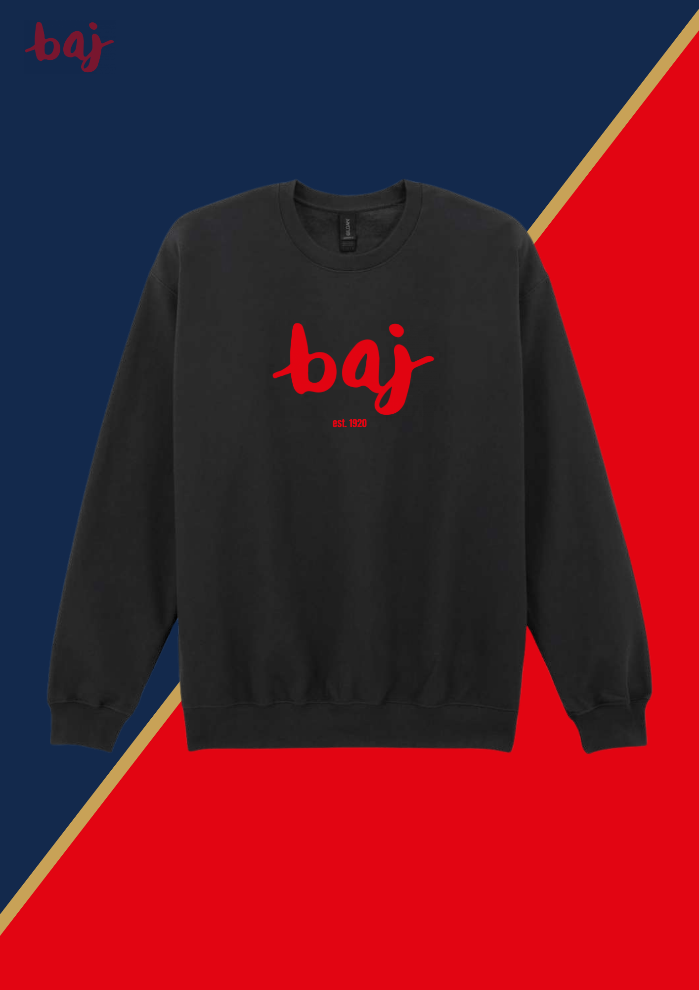 Baj-Basic-Sweater-großes Logo